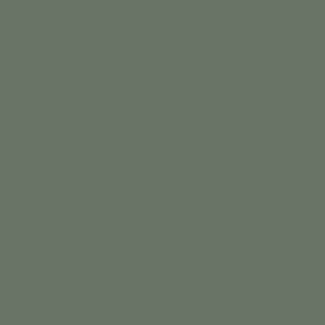 F8793 BRILLO