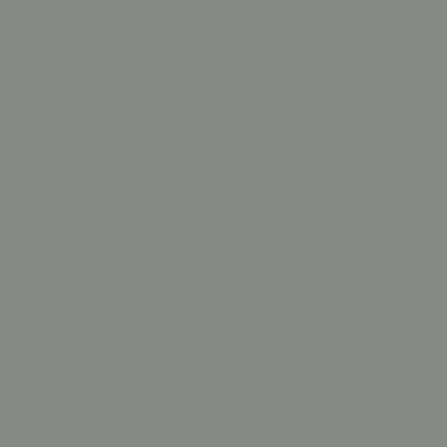 R0804 BRILLO