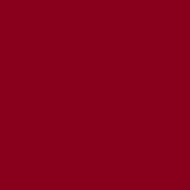 R0808 BRILLO